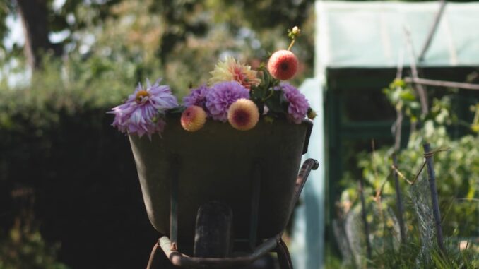 uploaded-image-botanik-meraklilari-icin-bitki-tanima-rehberi-1697376701027