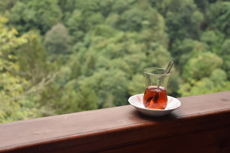 Seyahatte Ormanlarda ve Dağlarda Yürüyüş Seyahatte Ormanlarda ve Dağlarda Yürüyüş
